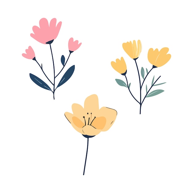 Colección de flores de primavera dibujadas a mano