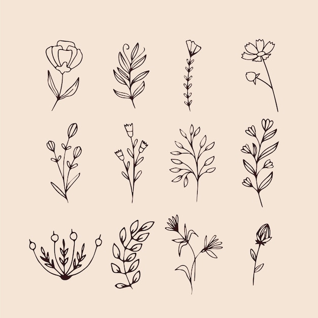 Colección de flores de primavera dibujadas a mano