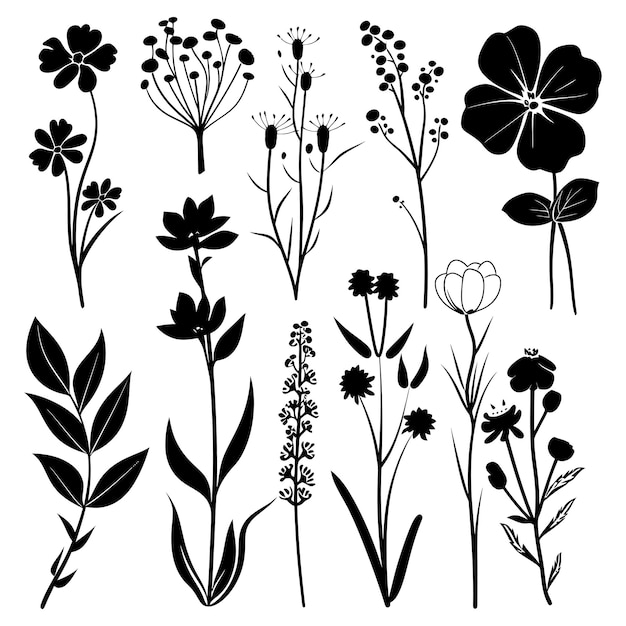 Colección de flores de primavera de silueta sólo color negro