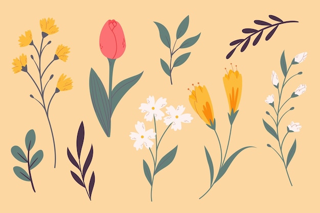 Colección de flores de primavera