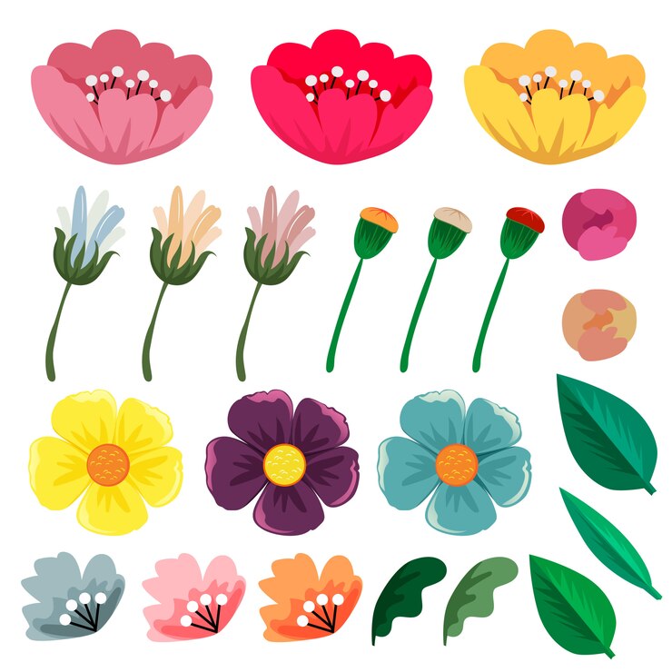 Colección de flores de primavera.