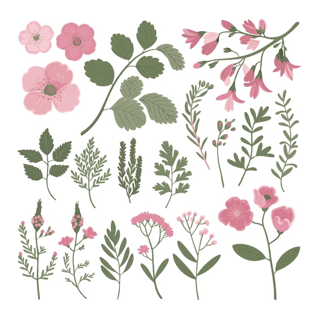 una colección de flores que incluyen flores de color verde rosado y rosa