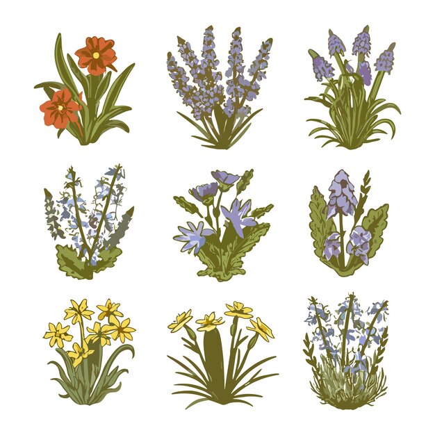 una colección de flores que incluyen flores púrpuras y amarillas