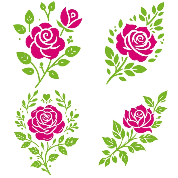 Colección de flores de rosa