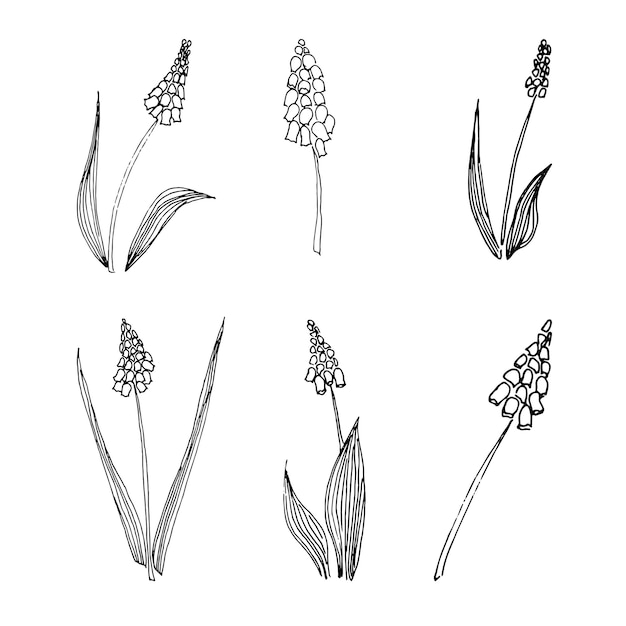 Colección de flores silvestres dibujadas a mano Flores de campo Liner