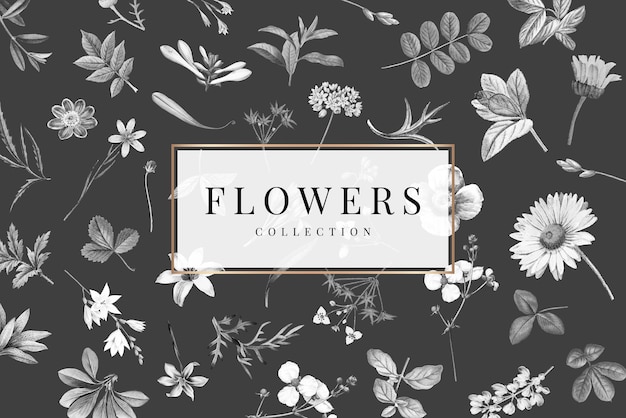 Colección de flores en un vector de fondo negro