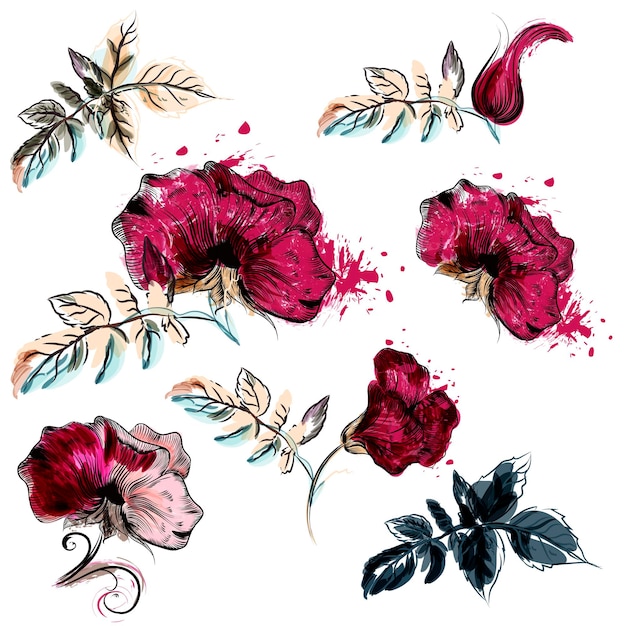 Colección de flores vectoriales para el diseño