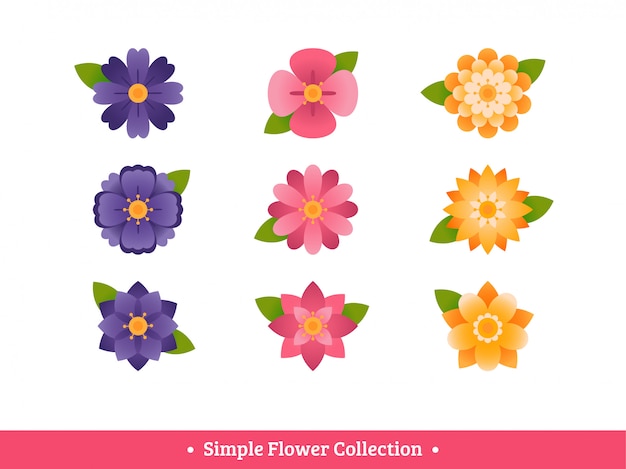 Vector colección de flores