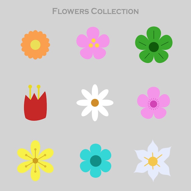 Colección de flores