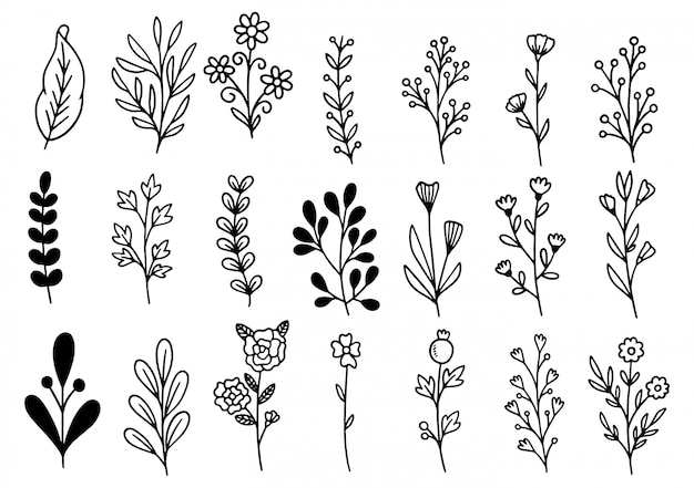 Colección de follaje de arte de eucalipto de helecho de bosque natural deja hierbas en estilo de línea. Ilustración elegante de belleza decorativa para flor de diseño dibujado a mano