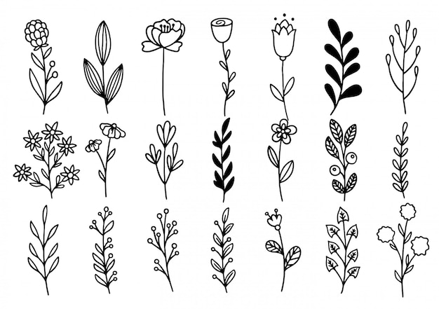 Colección de follaje de arte de eucalipto de helecho de bosque natural deja hierbas en estilo de línea. Ilustración elegante de belleza decorativa para flor de diseño dibujado a mano