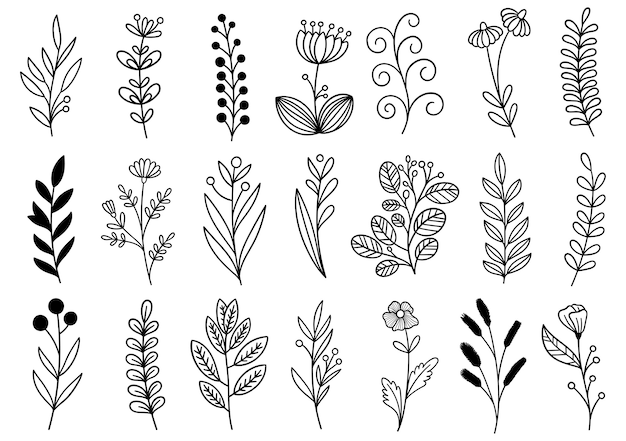 Colección de follaje de arte de eucalipto de helecho de bosque natural deja hierbas en estilo de línea. Ilustración elegante de belleza decorativa para flor de diseño dibujado a mano