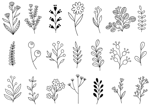 Colección de follaje de arte de eucalipto de helecho de bosque natural deja hierbas en estilo de línea. Ilustración elegante de belleza decorativa para flor de diseño dibujado a mano