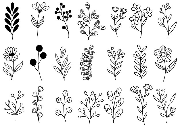 Colección de follaje de arte de eucalipto de helecho de bosque natural deja hierbas en estilo de línea. Ilustración elegante de belleza decorativa para flor de diseño dibujado a mano