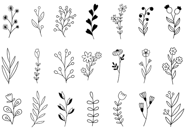 Colección de follaje de arte de eucalipto de helecho de bosque natural deja hierbas en estilo de línea. Ilustración elegante de belleza decorativa para flor de diseño dibujado a mano