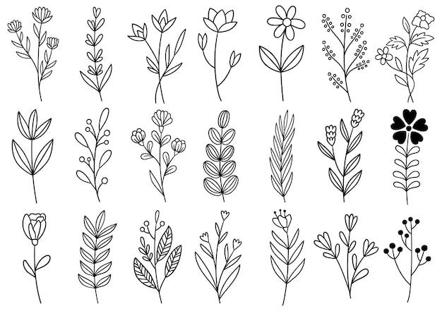 Colección de follaje de arte de eucalipto de helecho de bosque natural deja hierbas en estilo de línea. Ilustración elegante de belleza decorativa para flor de diseño dibujado a mano