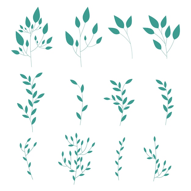 Colección de follaje verde de ramas con hojas estilo plano