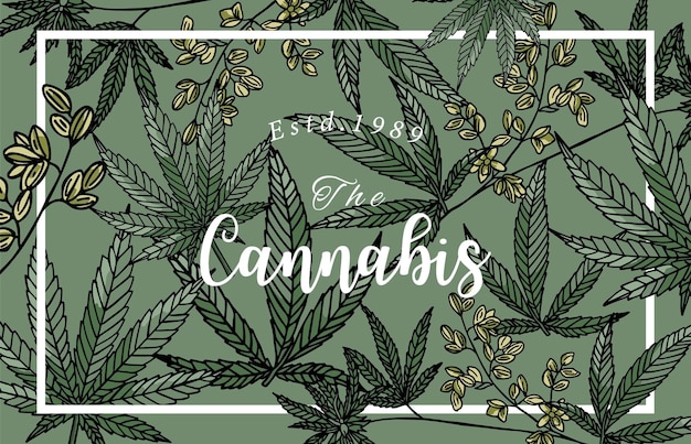 Colección de fondo de cannabis con ilustración de vector editable verde para invitación postal y pegatina del sitio web