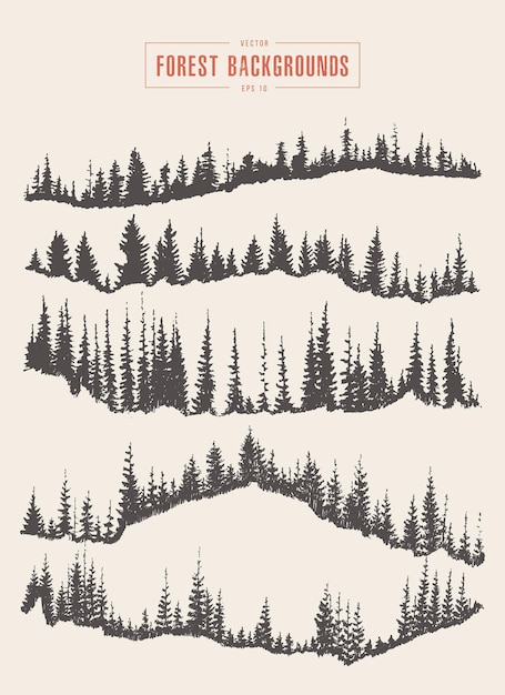 Colección de fondos de bosque de pinos, ilustración vectorial, dibujado a mano, boceto