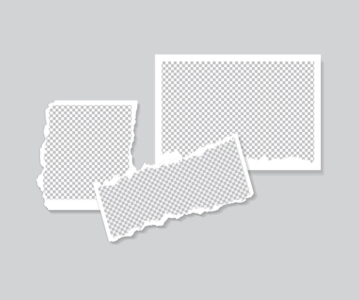 Vector colección de fotogramas polaroid con efecto vectorial realista de sombra de gota