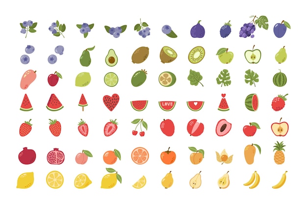 Colección de frutas y bayas exóticas tropicales de verano y de jardín con hojas dibujada a mano