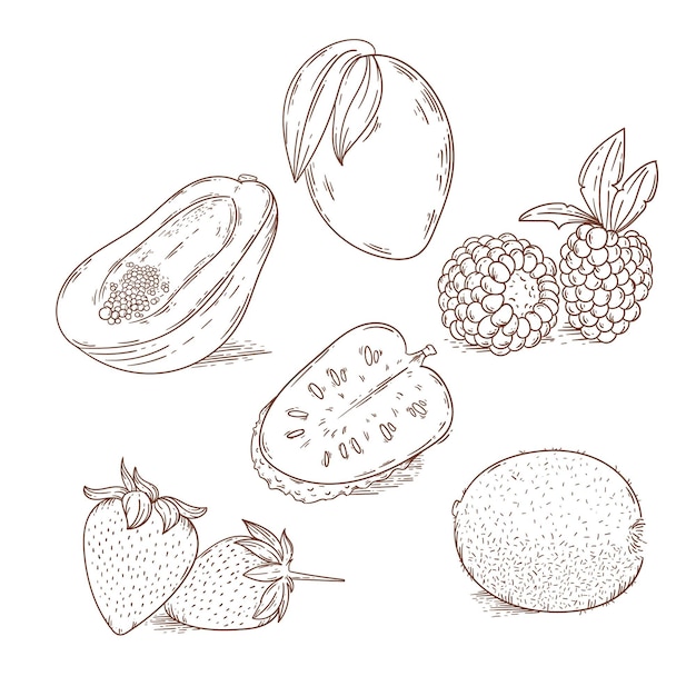 Colección de frutas dibujadas a mano grabado