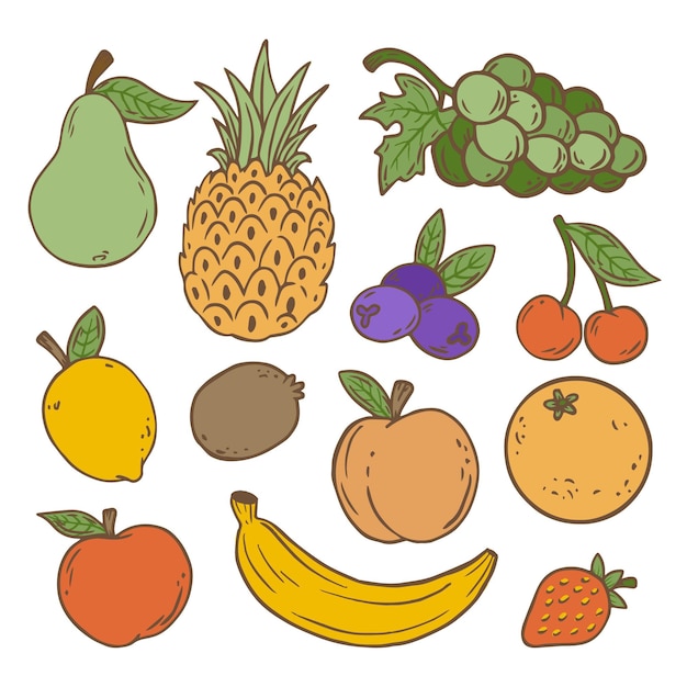 Vector colección de frutas dibujadas a mano