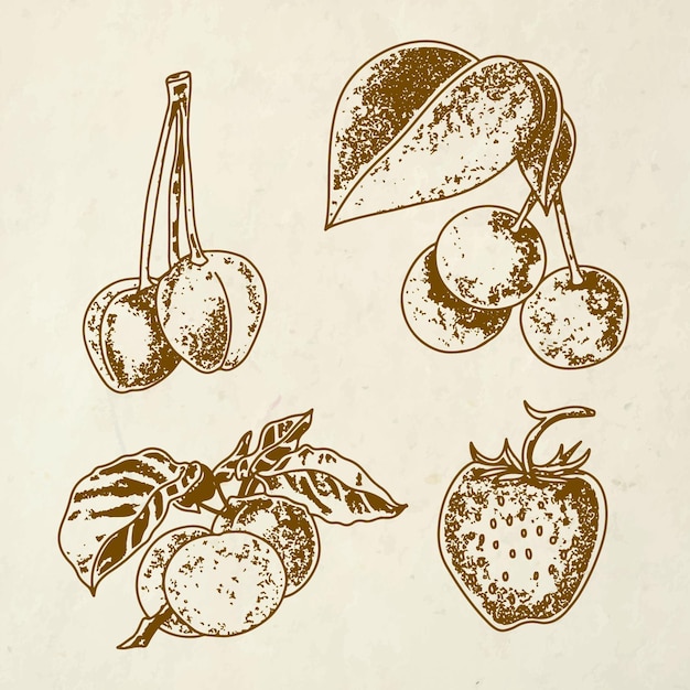 Vector colección de frutas dibujadas a mano