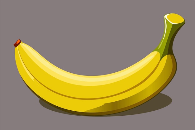 una colección de frutas y flores, incluida una que dice fruta
