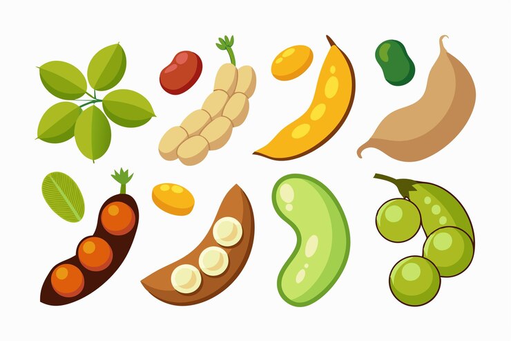 Vector una colección de frutas, incluida una que tiene la palabra "frutas" en ella