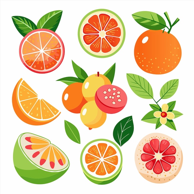 una colección de frutas, incluidas las naranjas, las limas y las limas