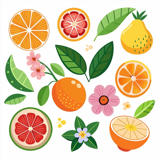 una colección de frutas, incluidas naranjas, limones y flores