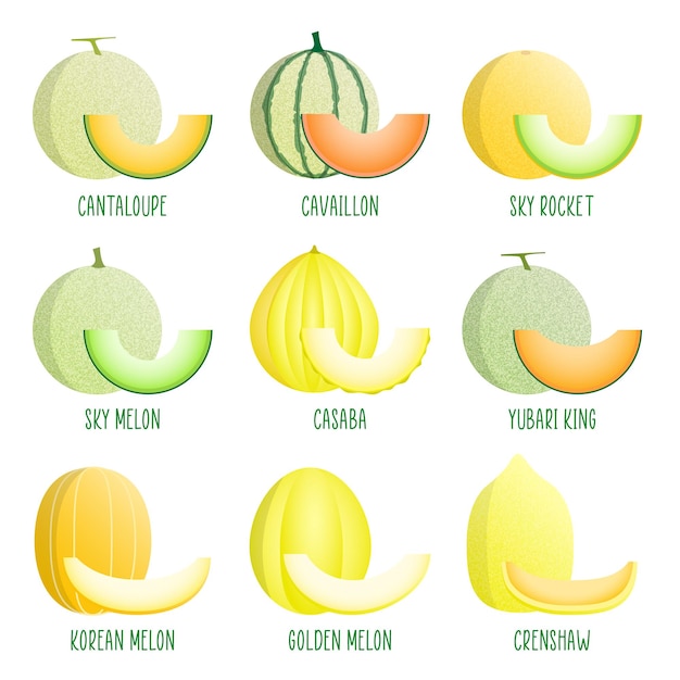 una colección de frutas incluyendo una que dice melón
