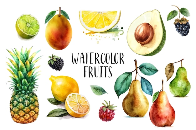 Vector colección de frutas pintadas con acuarela elementos de diseño de alimentos frescos dibujados a mano aislados sobre fondo blanco