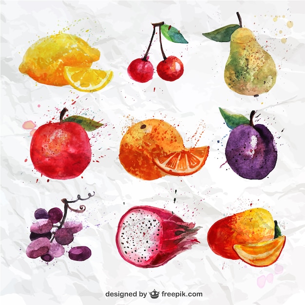 Vector colección de frutas pintadas a mano