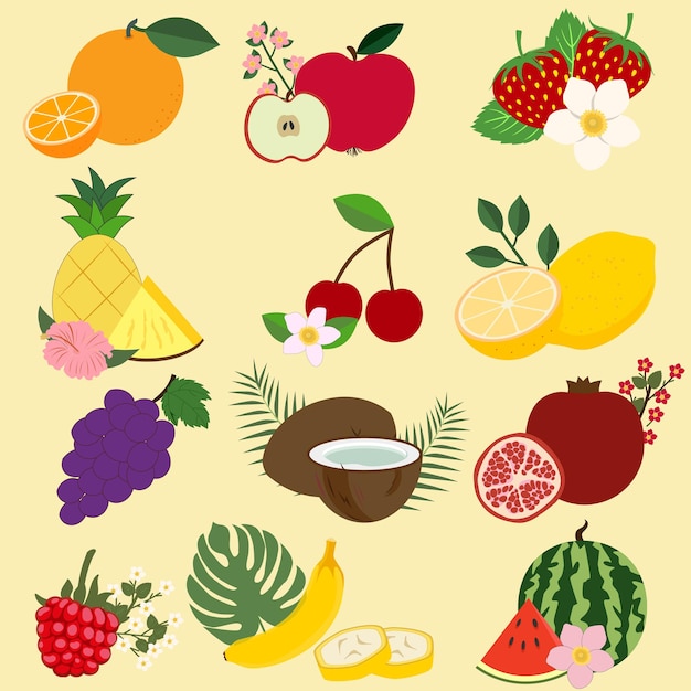 Vector colección de frutas de verano