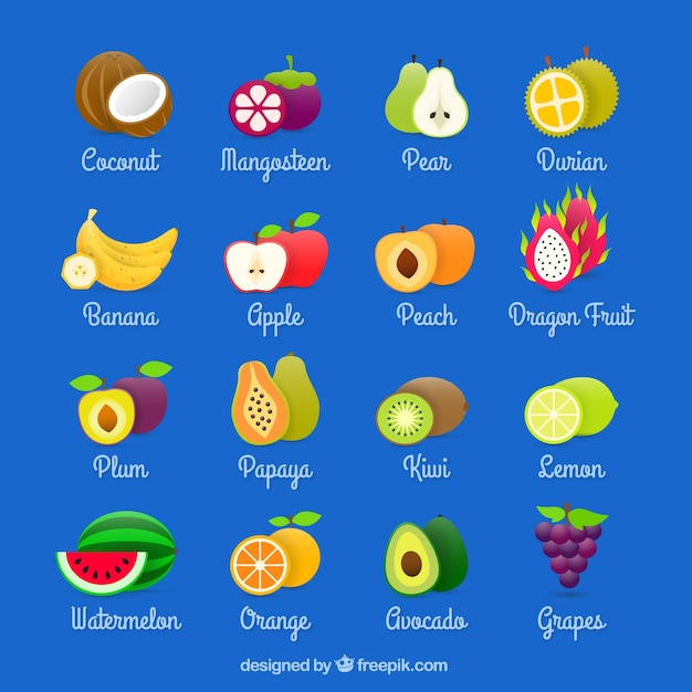 Vector colección de frutas