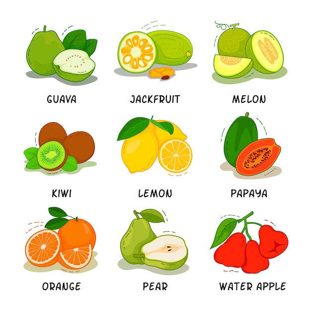 Vector colección de frutas