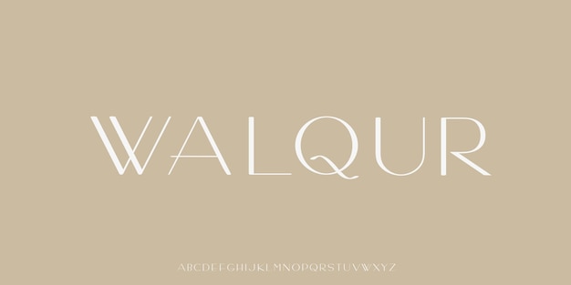 Colección de fuentes del alfabeto letras clásicas y modernas minimalistas elegantes