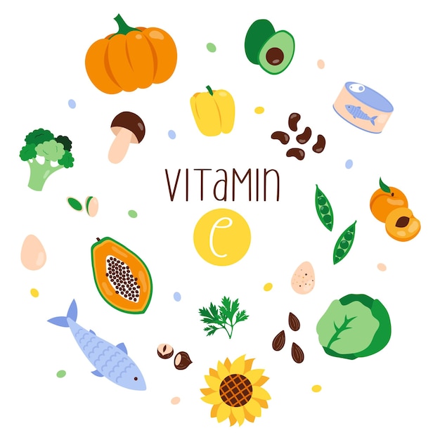 Vector colección de fuentes de vitamina e. comida sana equilibrada.