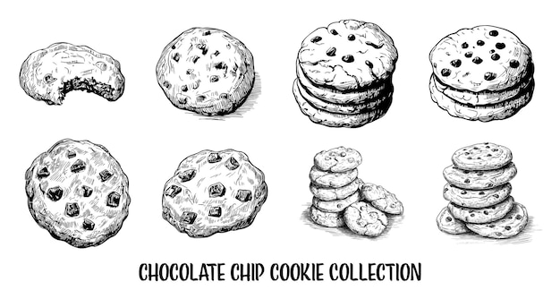 Vector colección de galletas de choco dibujadas