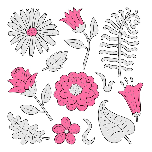 Vector colección de garabates botánicos con flores y hojas