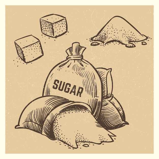 Colección de garabatos de azúcar. Boceto de ilustración de azúcar