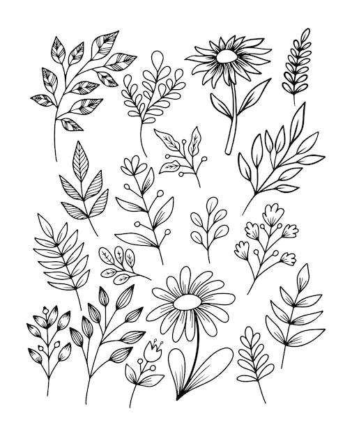 Colección de garabatos dibujados a mano de hojas y flores