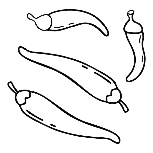 Colección de garabatos dibujados a mano lineal de vector vegetal picante de chile