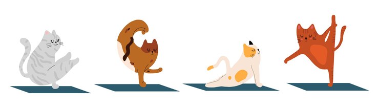 Vector colección de un gato haciendo yoga.