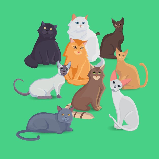 Colección de gatos de diferentes razas. Establecer gatos. Conjunto de ilustración.