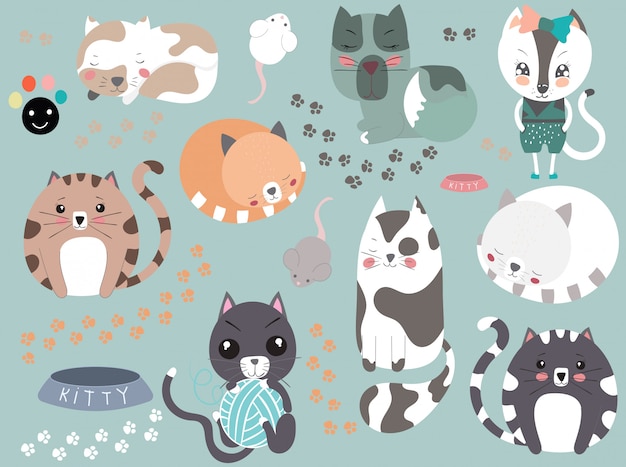 Colección de gatos lindos