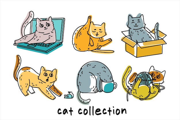 colección de gatos y paquete de gatos
