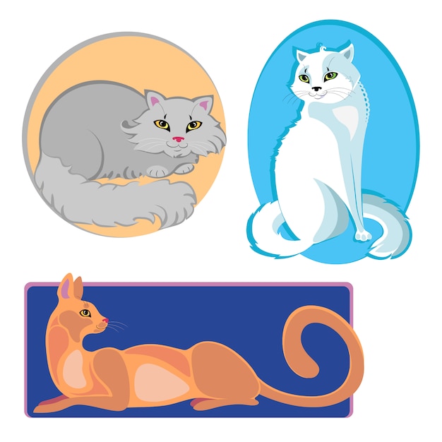 Vector colección de gatos